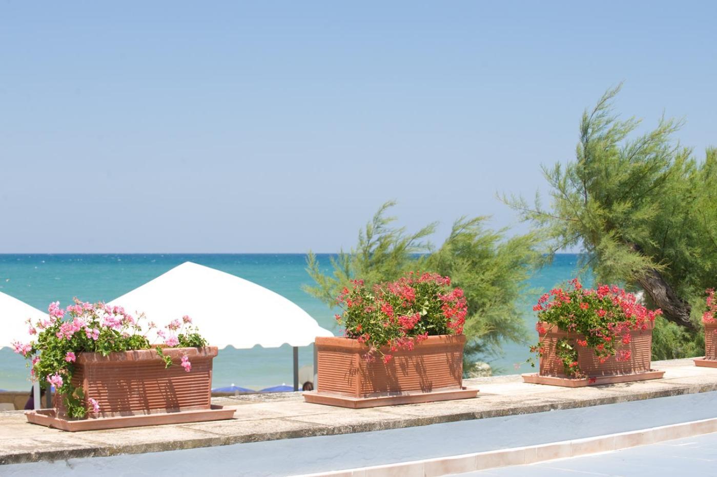 Hotel Del Levante Torre Canne Exterior photo